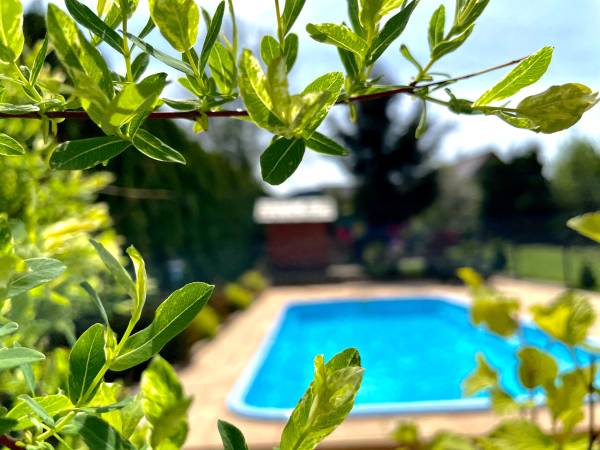 Pokoje gościnne Joanna Zapała