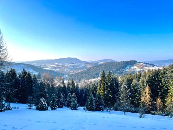 Pokoje gościnne Joanna Zapała