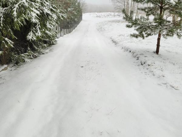 Miodowy Domek na Mazurach