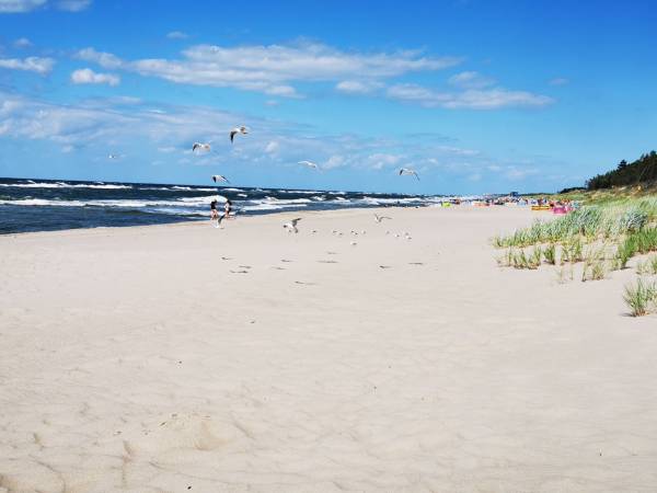 Domki Na Fali Marta Mierzwa