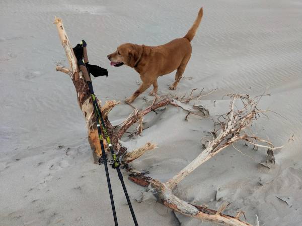 Balticana - Domek Letniskowy