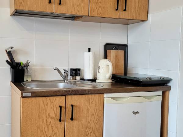 Aneks kuchenny w pokoju 3-osobowym z aneksem kuchennym 