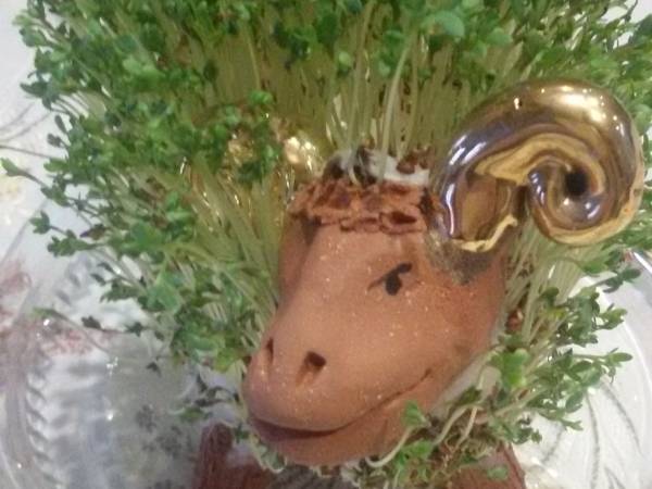 Chata Wuja Toma-Hosteria na Mazurach