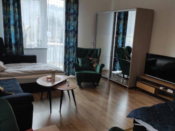 APARTAMENT MIODOWY 