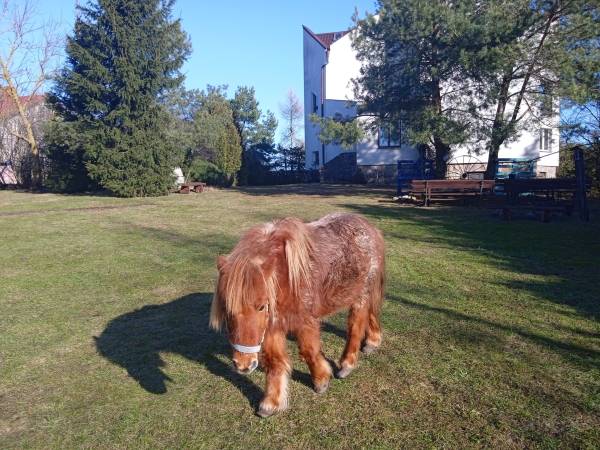 Ekologiczne Gospodarstwo Agroturystyczne Jaćwing