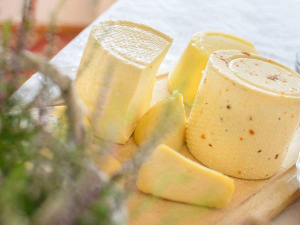 Ekologiczne Gospodarstwo Agroturystyczne Jaćwing