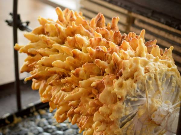 Ekologiczne Gospodarstwo Agroturystyczne Jaćwing