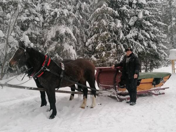Pawlikowska Helena i Józef