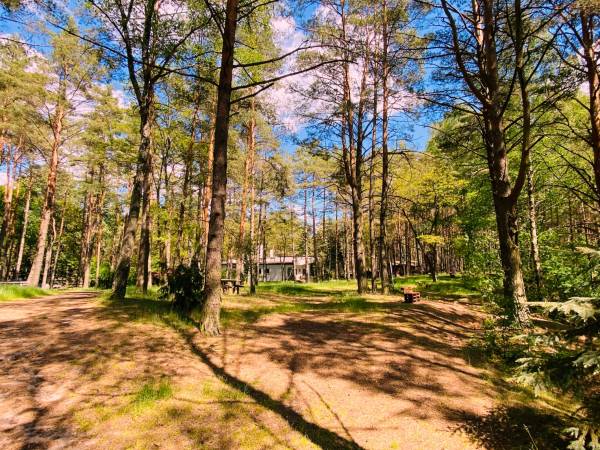 Wpadnij do lasu , domki nad jeziorem 