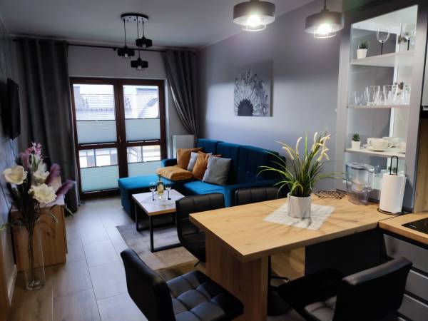 Salon z aneksem kuchennym