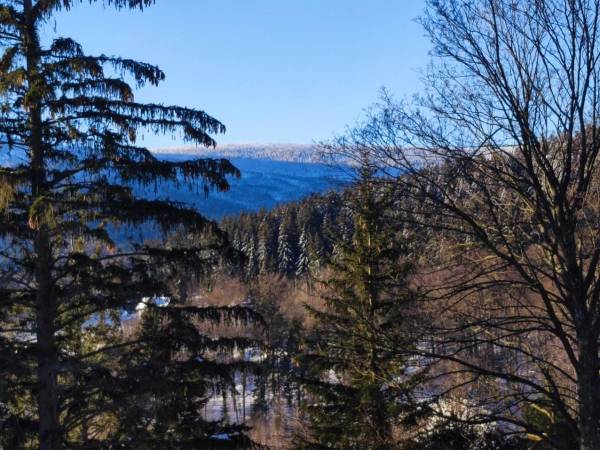 Apartament A19 w Green Park Resort