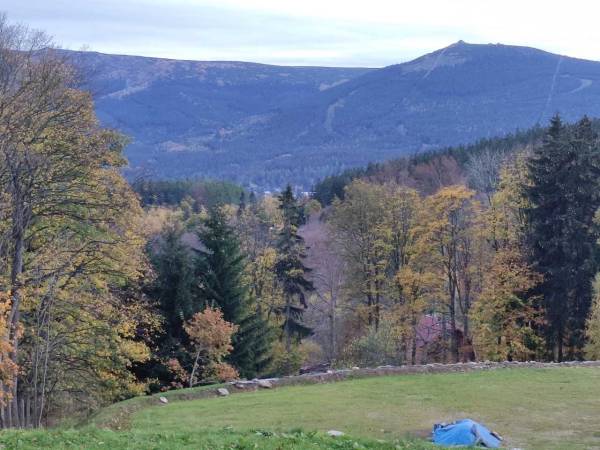 Apartament A19 w Green Park Resort