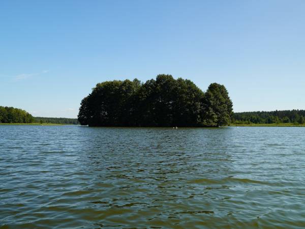 Wpadnij do lasu , domki nad jeziorem 