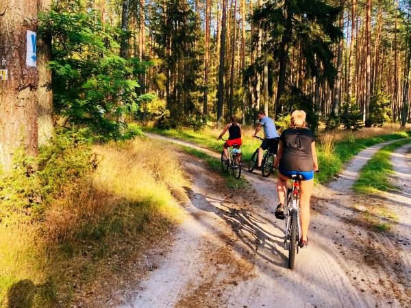 Wpadnij do lasu , domki nad jeziorem 