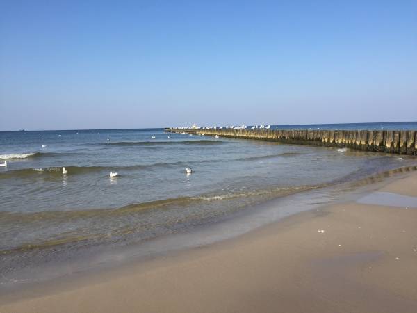  DOMKI LETNISKOWE SOSNOWO