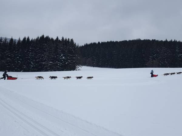 Apartamenty Dzika Orlica