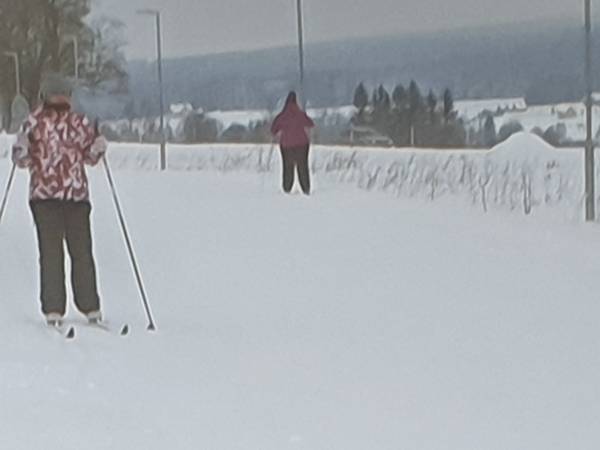 Apartamenty Dzika Orlica