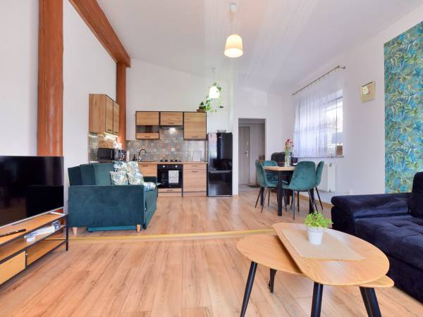 SALON Z ANEKSEM KUCHENNYM APARTAMENT MIODOWY 