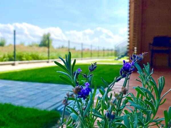 Apartamenty Czerwone Korale