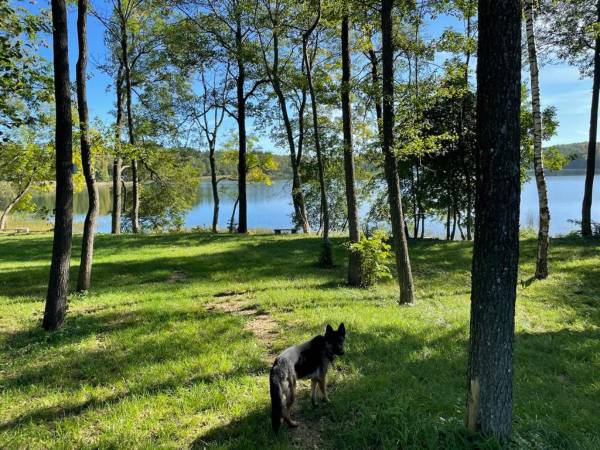 Dwa kameralne domki na Mazurach 