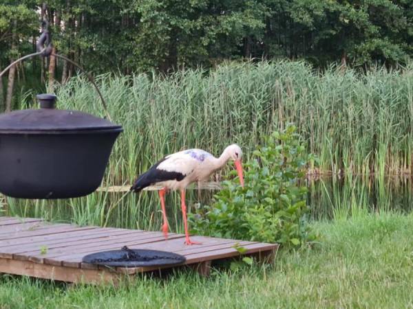 Dwa kameralne domki na Mazurach 