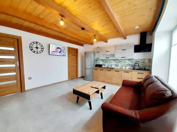 salon z aneksem kuchennym