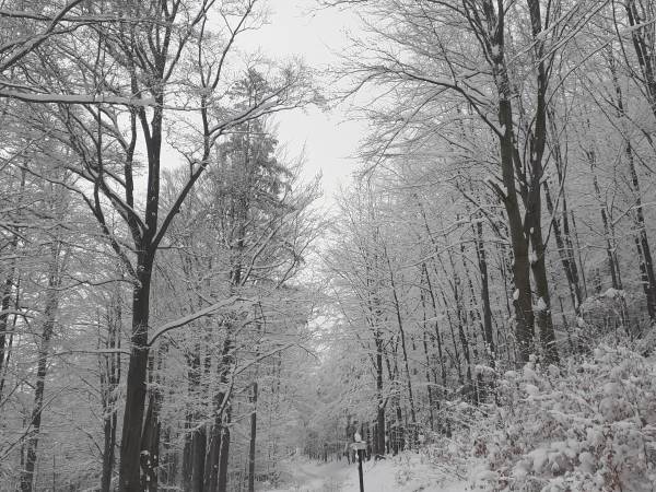 Dom Wakacyjny w Karkonoszach