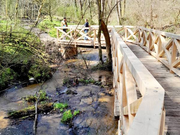 Rezerwat Czartowe Pole