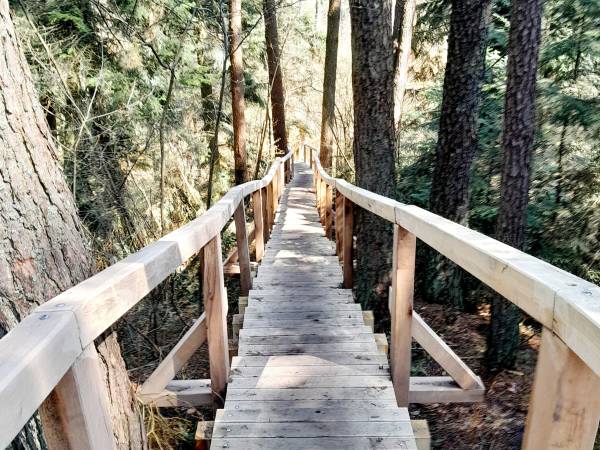 Rezerwat Czartowe Pole