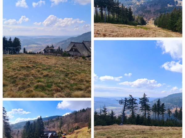 Apartament Mountains Góry Sowie