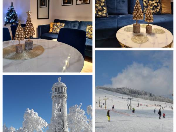 Apartament Mountains Góry Sowie