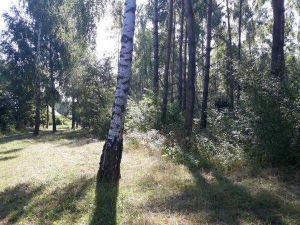 Domki Letniskowe Morena