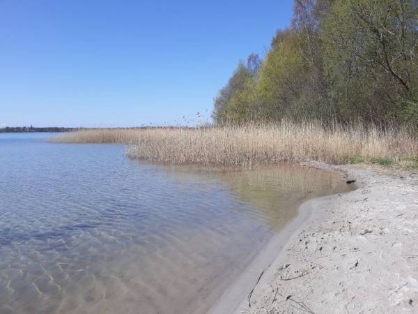 Domki Letniskowe Morena