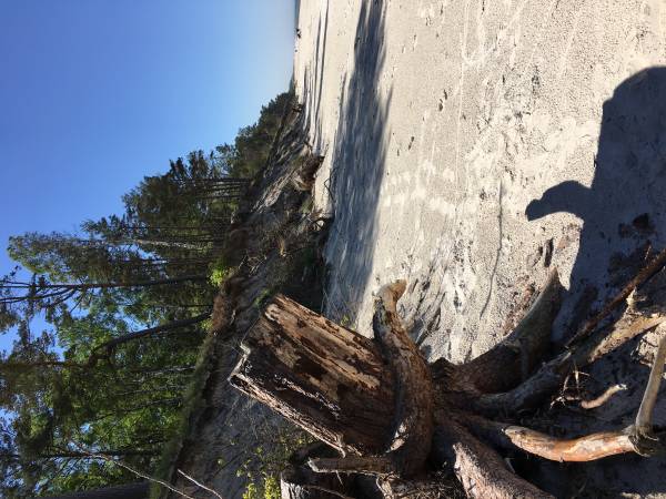 Białe Domki Kopalino