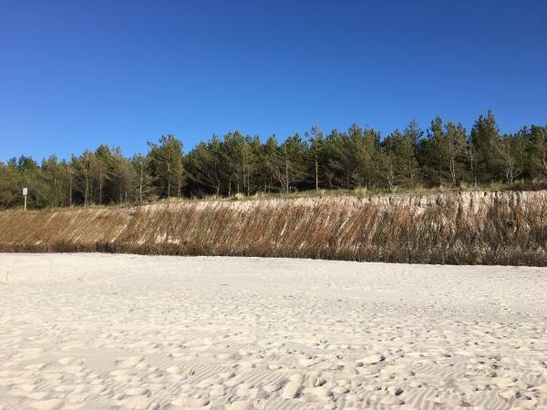 Białe Domki Kopalino