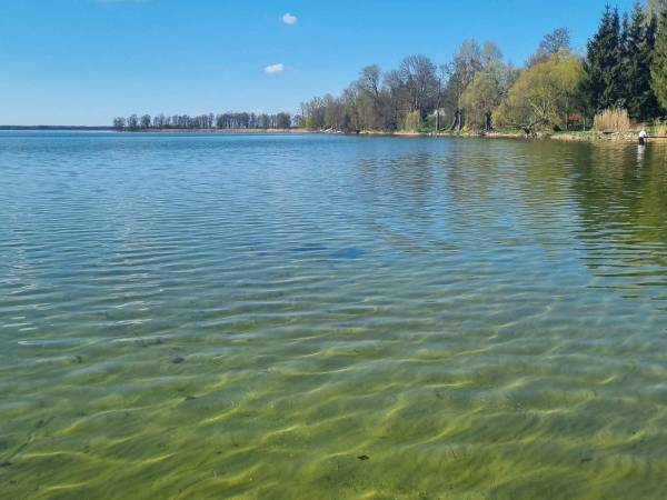 Domki WESTERN HOUSE Giżycko Fuleda Sauna Jacuzzi Kominek