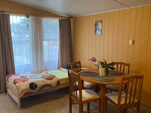 POD SKAMIENIAŁYM MIASTEM 