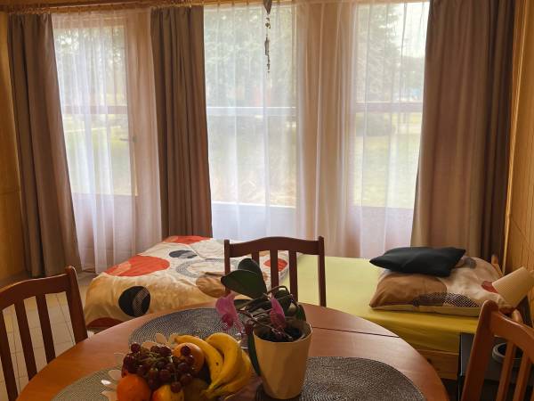 POD SKAMIENIAŁYM MIASTEM 