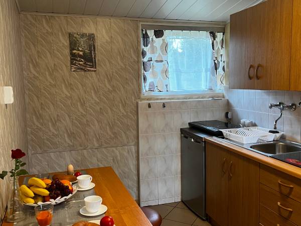 POD SKAMIENIAŁYM MIASTEM 