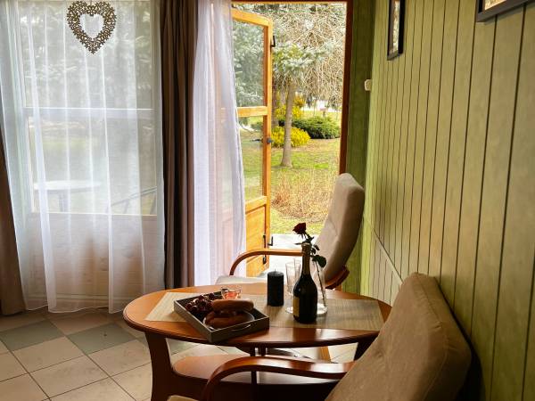 POD SKAMIENIAŁYM MIASTEM 