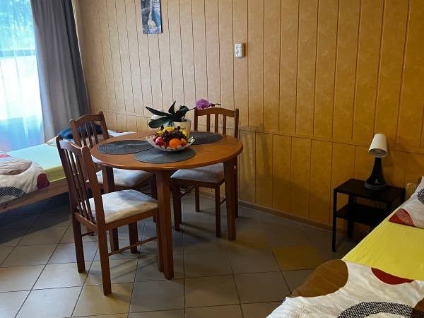 POD SKAMIENIAŁYM MIASTEM 