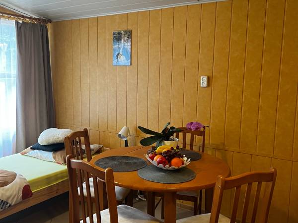 POD SKAMIENIAŁYM MIASTEM 