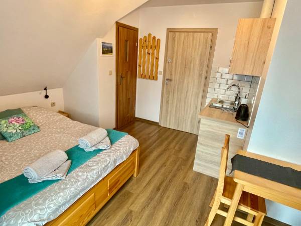 pokój typu studio z aneksem kuchennym - 2 osobowy nr 3