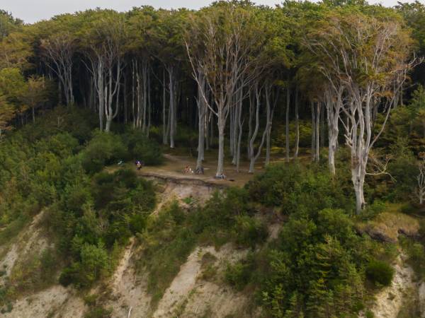 Domki letniskowe Szënodo