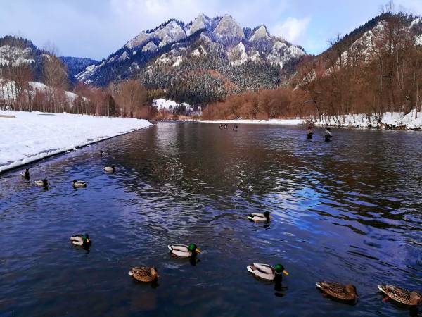 Apartamenty u Marka i Doroty