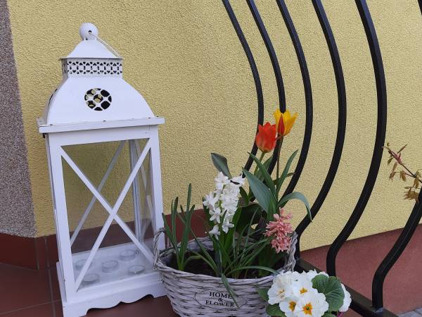 Willa Lenka w Rewalu