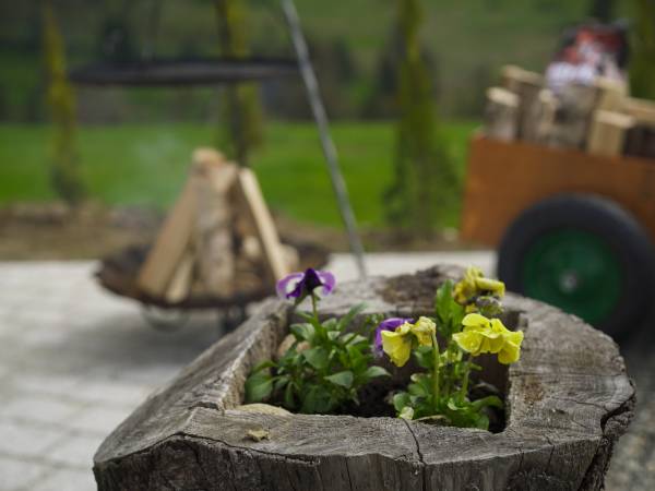 Domek na Wielkiej Górze