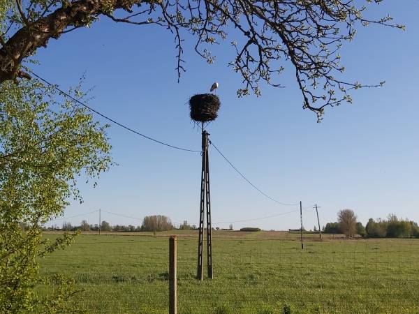 Wiejskie podwórze Ekologiczne gospodarstwo agroturystyczne