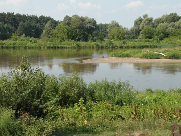 Dom letniskowy II na Podlasiu