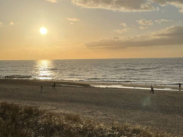 Domki letniskowe Reset